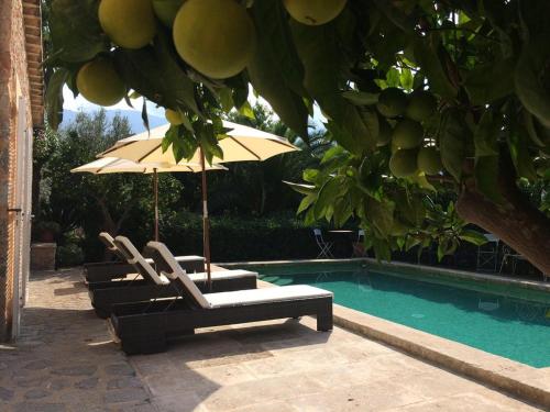 The swimming pool at or close to Ses llimoneres