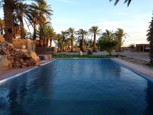 - une piscine dans un complexe avec des palmiers dans l'établissement Amerdoul, à Icht