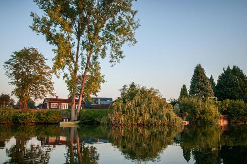 a tree in the water with a house in the background at Ferienhäuser Seepark Ternsche in Selm