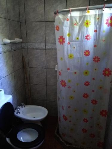 a bathroom with a shower curtain with a toilet at Laguna Verde Departamentos in Villa Pehuenia