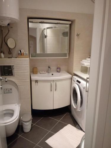 a bathroom with a sink and a washing machine at Apartment EMA in Ljubljana