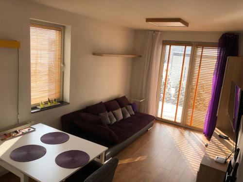 ein Wohnzimmer mit einem Sofa und einem Tisch in der Unterkunft Apartamenty Tychy Bielska 149A in Tychy