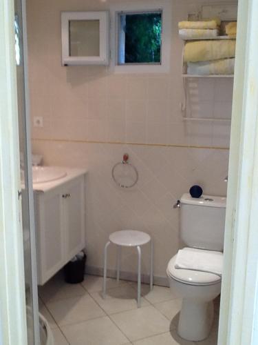 łazienka z toaletą, umywalką i stołkiem w obiekcie Domaine de la Botterie w mieście Azay-le-Ferron
