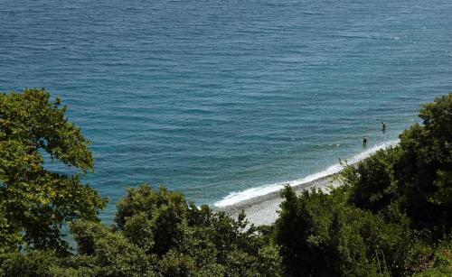 Naturlandschaft in der Nähe des Hotels