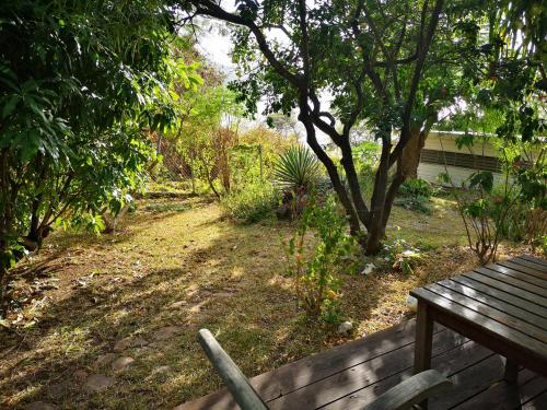 a wooden bench in a garden with a tree at Green Roof Inn in Carriacou