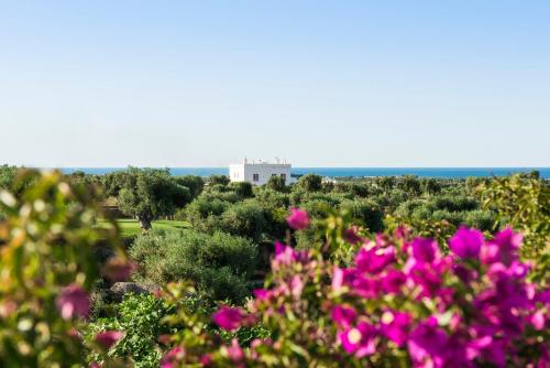 a field of flowers with a white building in the background at Rocco Forte Masseria Torre Maizza in Savelletri di Fasano