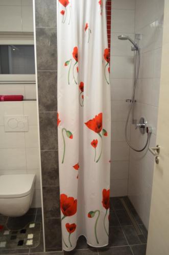 La salle de bains est pourvue d'un rideau de douche avec des fleurs rouges. dans l'établissement 34a Paulstraße, à Postbauer-Heng