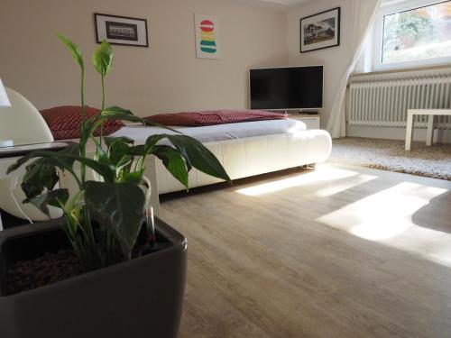 格羅森塞巴赫的住宿－Studio-Apartment Nähe Erlangen/Herzogenaurach，一间带床和盆栽植物的客厅