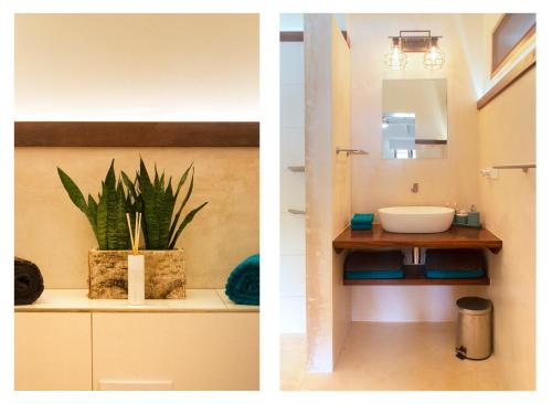 two pictures of a bathroom with a sink and a plant at Kas Despacito in Kralendijk