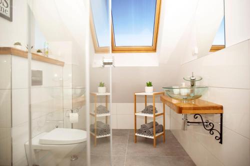 La salle de bains est pourvue de toilettes et d'un lavabo en verre. dans l'établissement Apartament w Rynku, à Ustrzyki Dolne