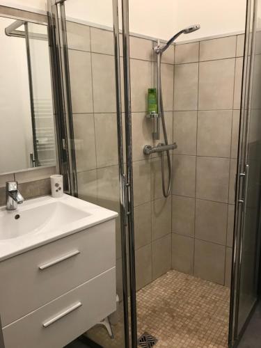 a bathroom with a shower and a sink at Modernité cœur du centre-ville in Auxerre