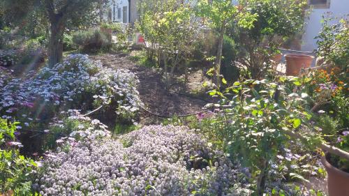 a garden with purple and white flowers and trees at Masseria Celentano Relais & Agriturismo in San Severo