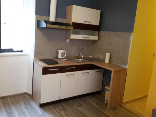 Apartment Kolega