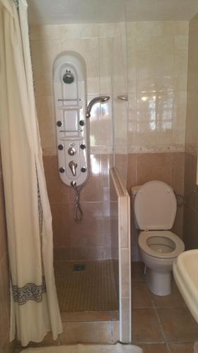 a bathroom with a shower with a toilet and a sink at Casa Fleuri in La Nucía
