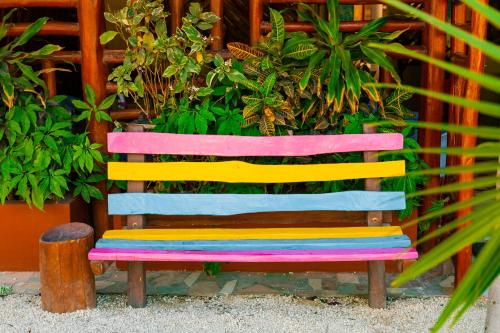 a colorful wooden bench sitting in front of plants at Mestizo Gallery in Tulum
