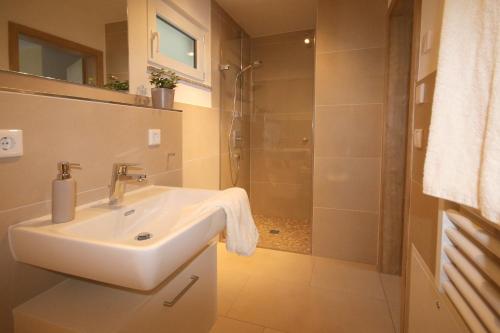 La salle de bains est pourvue d'un lavabo et d'une douche. dans l'établissement rent-my-apartment, à Rietheim-Weilheim