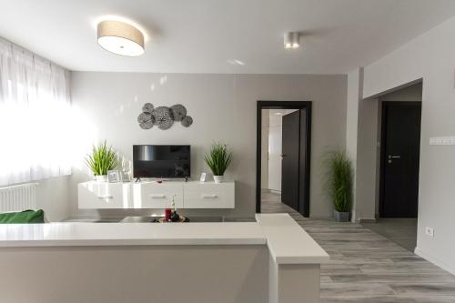 Μια τηλεόραση ή/και κέντρο ψυχαγωγίας στο Grey Suites Pécs