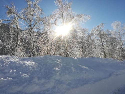 a sun shining through snow covered trees in a field at Weitlaner Birgit in Sillian