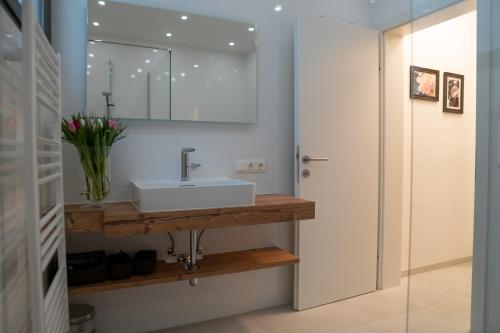 La salle de bains est pourvue d'un lavabo et d'un miroir. dans l'établissement Traditionell-modernes Haus in Hötting, à Innsbruck