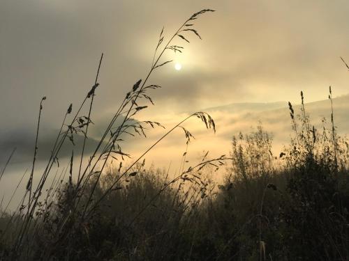 a field of grass with the sun in the sky at Chata Dorotka in Vyšné Ružbachy