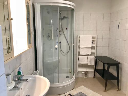 een badkamer met een douche en een wastafel bij Traumhafte Wohnung auf Pferde Ranch in Aich