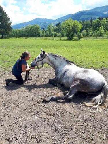 a woman is petting a horse laying in a field at Traumhafte Wohnung auf Pferde Ranch in Aich
