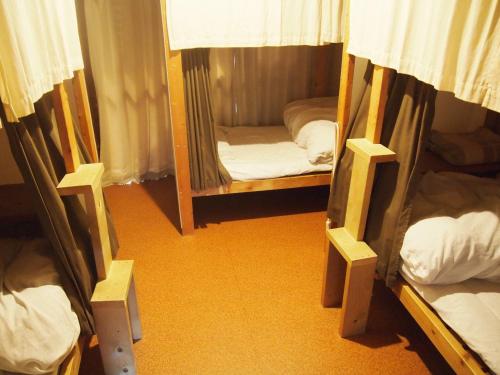 BACKPACKERS FUJI