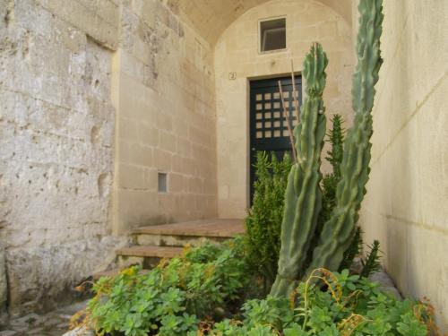 a cactus in front of a building with a door at Agli Archi Dimore Storiche in Matera