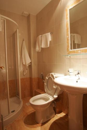 a bathroom with a toilet and a sink and a shower at Hotel Metropole in Leptokarya