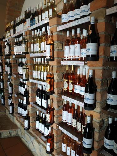 a wall of wine bottles on display in a store at Penzion Patria Kobyli in Kobylí