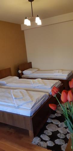three beds in a room with a vase of flowers at Pensiunea Normandia in Timişoara