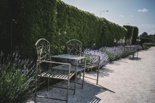 a row of benches next to a hedge with purple flowers at Hotel Marcincak*** in Mikulov