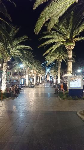 a large plaza with palm trees at night at Glenelg beach gateway Studio Apartment in Glenelg