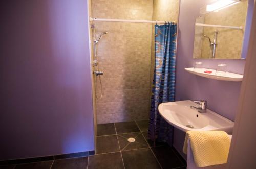 a bathroom with a shower and a sink at Hôtel de Bâle in Bantzenheim