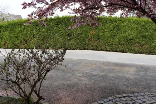 Galeriebild der Unterkunft Gästehaus Kirschgarten in Bodenheim