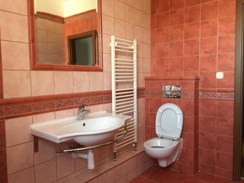 a bathroom with a sink and a toilet and a mirror at Spacious Apartment in Town Centre in Nové Zámky