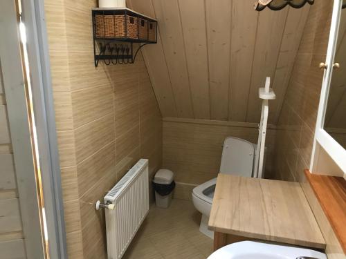 Koupelna v ubytování Hubertówka