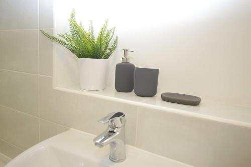 a bathroom with a sink and a plant on a shelf at Wilford View in Nottingham