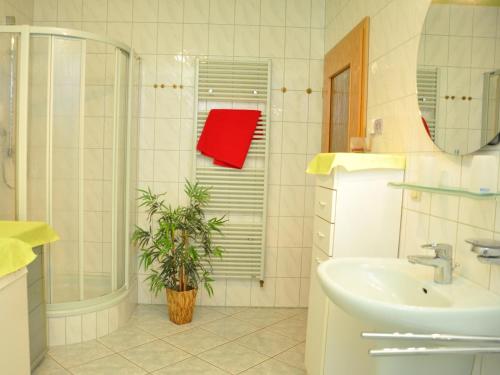uma casa de banho com um lavatório e um chuveiro em Ferienwohnung Panorama em Schmalkalden