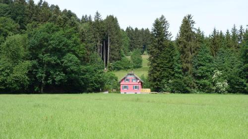 a pink house in the middle of a field at Erwins Ferien-Paradies in Hörbranz