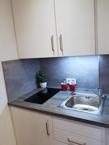 a kitchen with a sink and a counter top at Apparthotel Garni Superior Simsseeblick in Bad Endorf