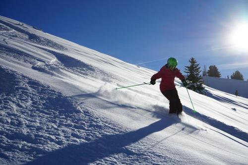 a person is skiing down a snow covered slope at Apart Salner in Ischgl