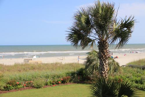 a palm tree in front of a beach with people at Jade Tree Cove in Myrtle Beach