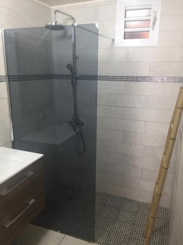 y baño con ducha y puerta de cristal. en F2 Bis Presbytère, en Saint-Pierre