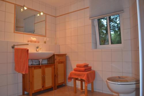 a bathroom with a sink and a toilet at Ferienwohnung „Alte Mühle“ in Bad Rodach