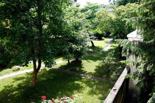 a view of a garden with a tree and a fence at Exclusive Central Apartment in Basel