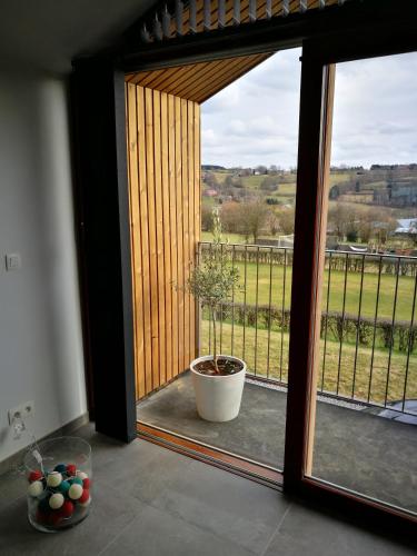a window view of a potted plant on a balcony at Au Simply in Francorchamps