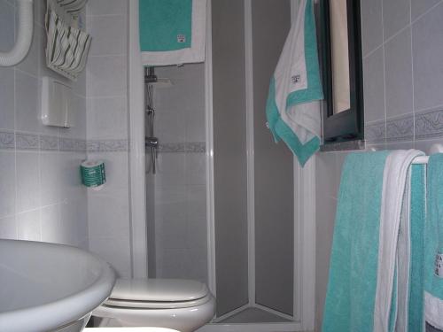 a bathroom with a shower and a toilet and a sink at Albergo Le Briciole in Procchio