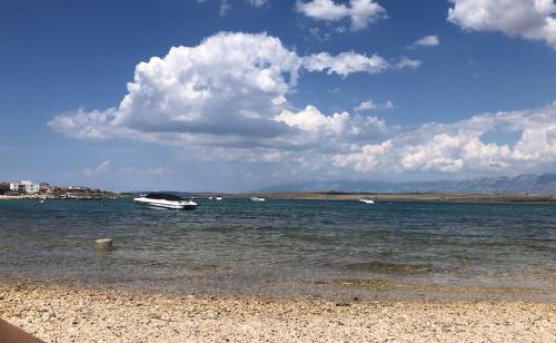 Gallery image of Apartments J.A.N.M.A.R. in Vir