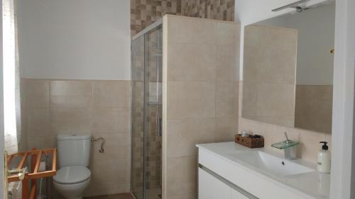 a bathroom with a toilet and a sink and a shower at Casa Fraile in Olmedilla del Campo
